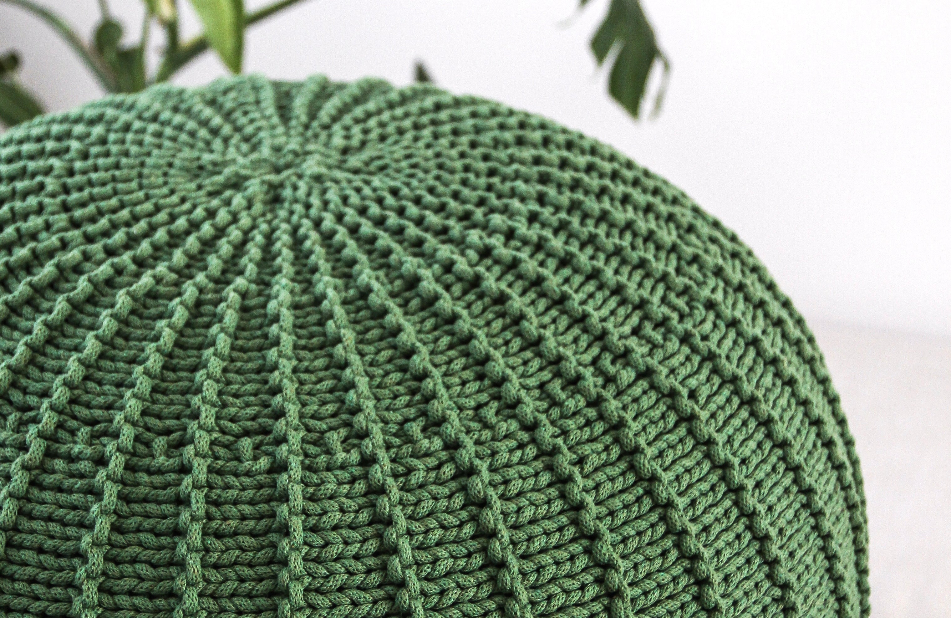 AVOCADO - Zuri House